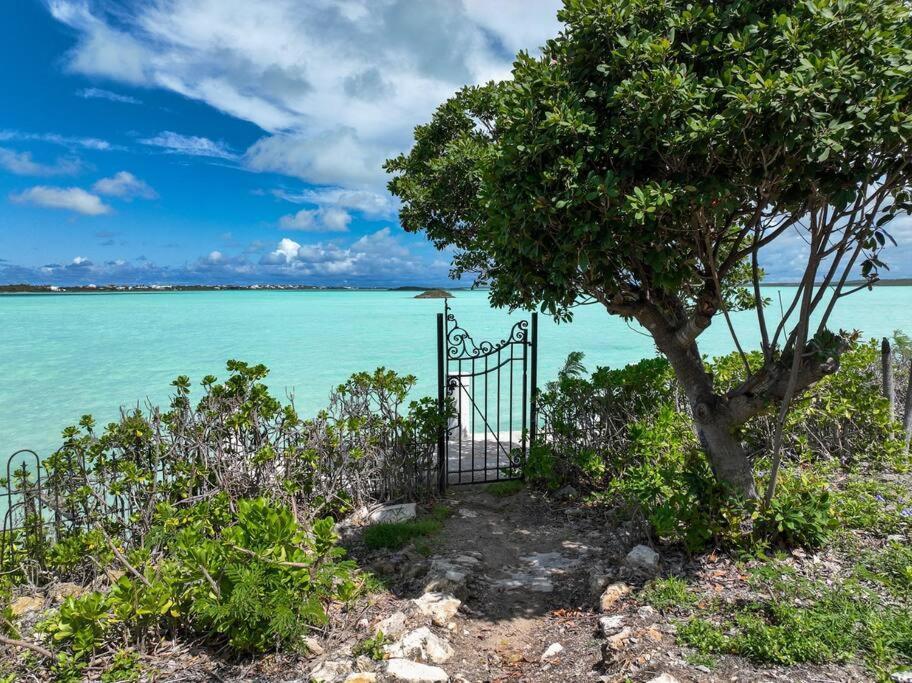 Turquoise Haven Villa 普罗维登西亚莱斯岛 外观 照片